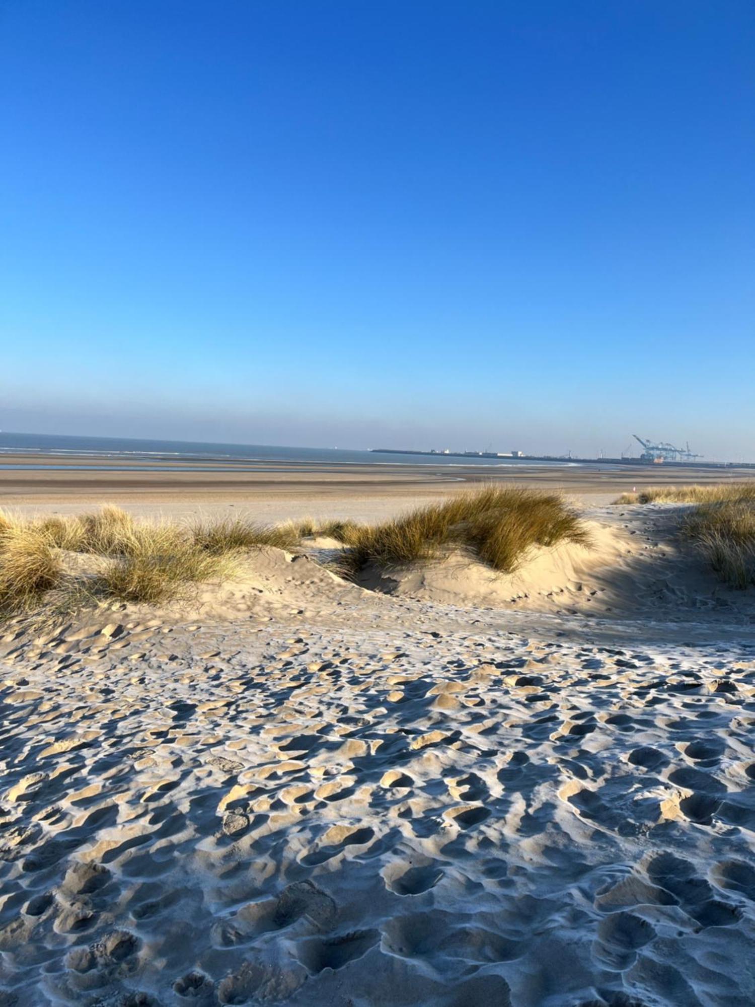 Dune Du Clémot Blankenberge Extérieur photo